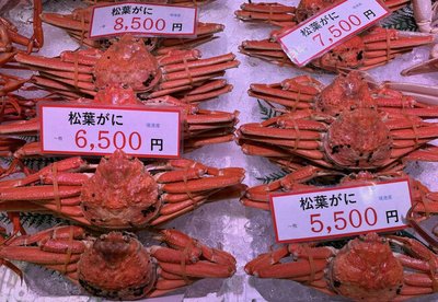 🐟 사카이미나토 수산물 직판 센터(사카이미나토 스이산부츠 초쿠바이센터) 이미지 2